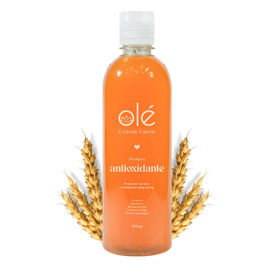 OLE Fruit Mix Shampoo | Antioxidant Formula for Shine & Hair Growth 500ml - Beauty GloBeauty Glo